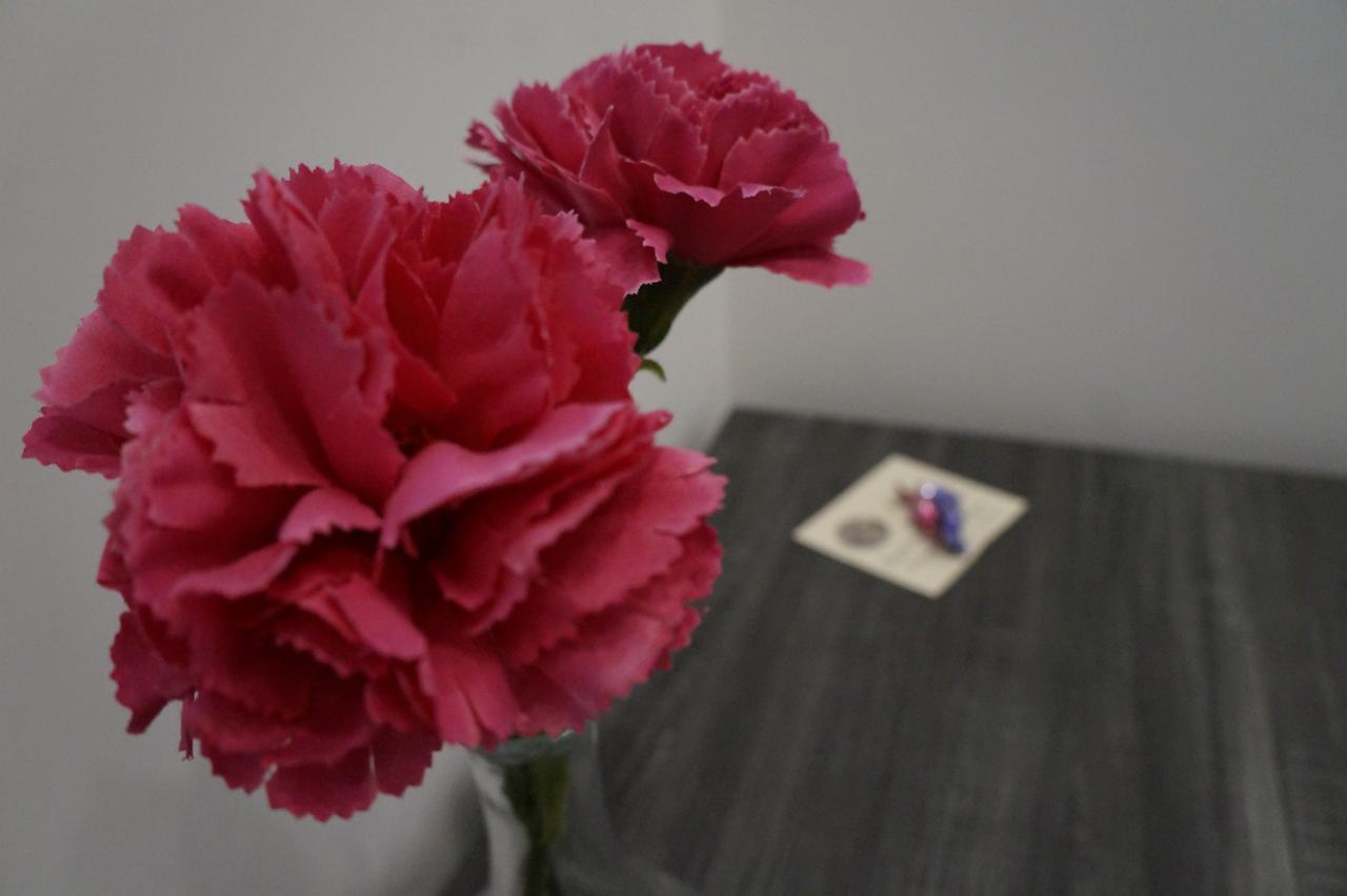 Palazzo Irma - Hotel - B&B Luxury Vibo Valentia Zewnętrze zdjęcie